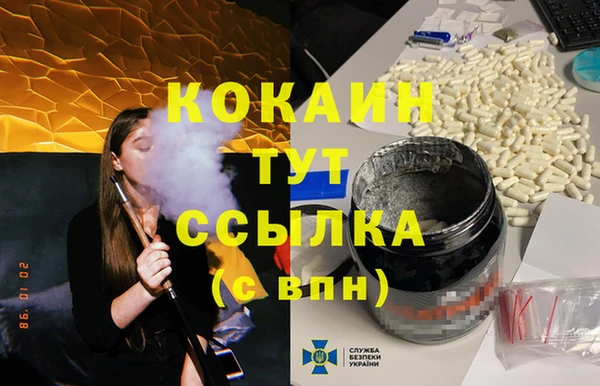сатива Приозерск