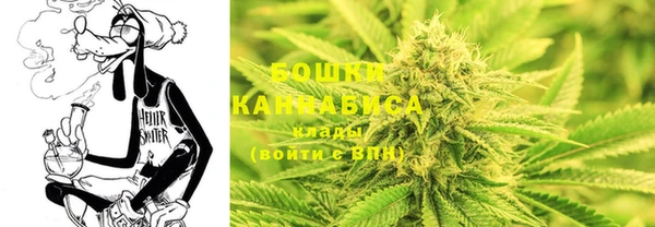 сатива Приозерск