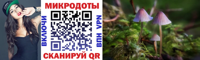 Купить закладки Павлово Псилоцибиновые грибы GOLDEN TEACHER